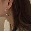 Brincos de Metal Cruzados para Outono e Inverno Agulha de Prata Studs Orelha Moda de Nicho Vento Frio Argola de Orelha Versátil Luxo Leve Brincos de Alta Qualidade