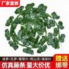 Artesanía Ratán Planta Ratán Simulación Hoja Verde Ratán Decorativo Venta al por Mayor Enredadera Planta Hiedra Pared