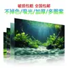Pegatina de fondo para acuario fondo de lecho marino de acuario tanque de plantas acuáticas paisajismo fondo de acuario 5d tridimensional tridimensional autoadhesivo