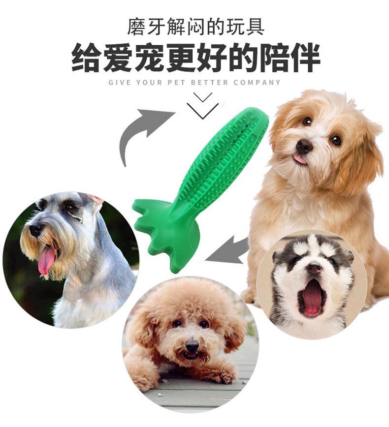 11973377558_226110592