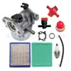 Adecuado para 799866 790845 799871 796707 794304 190Cc Carburador 725Ex