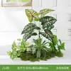 Plantas Verdes Artificiales al por Mayor Paisajismo Interior Plantas Falsas de Gama Alta Decoración de Paisaje Grupos de Musgo Flores Biónicas Decoración Suave Luz