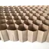 Saco de Papel Corrente de Papel Viveiro de Mudas Tubo de Papel Colmeia Corrente de Copos de Papel Vaso para Mudas Outro China Taiwan De Chão