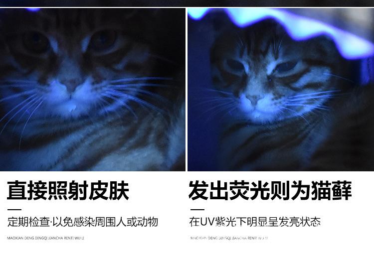 1_07.jpg