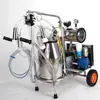 Extractor de Leche Nuevo Modelo con Bomba Integrada, Extractor de Leche Eléctrico Portátil para el Hogar con Transmisión por Correa Dividida