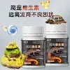 Haomaijia Probióticos para Mascotas Reptiles Ayuda Digestiva para Lagartijas Bacterias Activas Producto de Electrolitos para Tortugas Probióticos para Mascotas