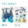 Marcador de Flores Secas Especimen Película de Sellado de Plástico Colección Primavera en una Botella Materiales Hechos a Mano DIY Flores Transparentes para Estudiantes de Primaria
