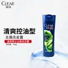 Shampoo Anti-Caspa Masculino Qingyang Multiefeito Hidratante Refrescante Controle de Oleosidade Anti-Coceira Limpeza Profunda Aroma de Menta Lavagem de Cabelo