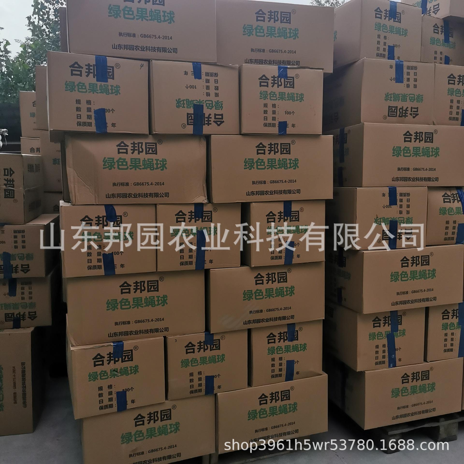 果蝇球3.jpg