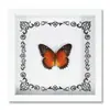 Espécime de Borboleta Real Decoração de Casa DIY Moldura de Madeira para Fotos Suprimentos de Pintura Decorativa Avançada Presente Moderno Presente Criativo