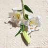 Haste Única com 3 Lírios Grandes, Flores Artificiais Impressas em 3D para Decoração de Casa e Casamento