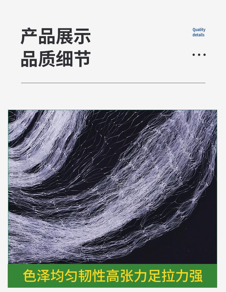 粘网_06.jpg