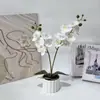 Bonsai de orquídea phalaenopsis realista de 12 flores de 2 puntas impreso en 3D decoración creativa planta en maceta artificial superventas transfronterizo