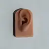 Corpo Artificial Características Faciais Silicone Orelha Sobrancelha Lábio Modelo Beleza Tatuagem Bordado Prática de Ensino Joias Exibição Adereços Suporte