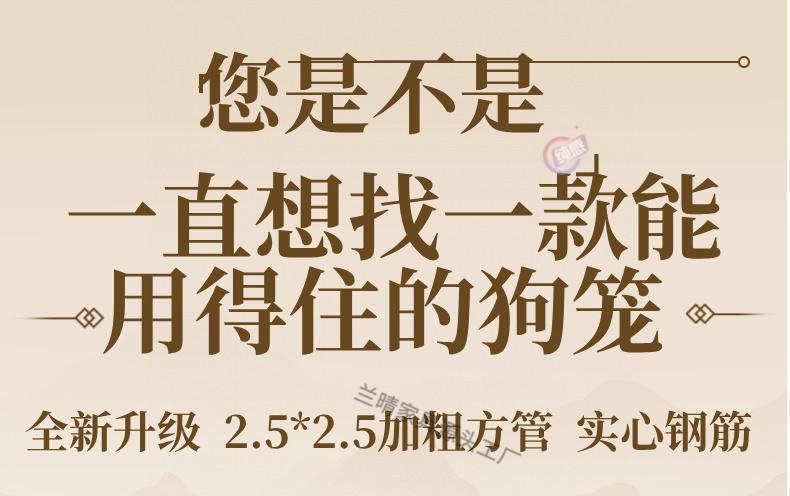e0b21f7f-402b-4a6d-8048-46f6ade3bf0b.jpe