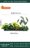Flores Artificiais Plantas Verdes Conjunto de Divisória Decorativa Flores de Plástico e Seda Decoração de Paisagismo Arranjo de Paisagem Exibição de Janela Interna