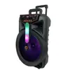 Altavoz exterior de 12 pulgadas 20W al por mayor para reuniones festivas y venta ambulante, Karaoke Bluetooth con micrófono alámbrico y luces LED