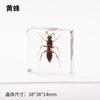 Qianfan Source Factory Real Inseto Espécime Resina Gota Cola Brinquedo Aranha Escorpião Pesquisa Infantil Presente Enfeites