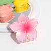 Venta Caliente Transfronteriza Moda Pequeño Fresco Combinación Perfecta Degradado Teñido Simi Flor Pinza Pinza para el Cabello de Niña Combinación Perfecta Accesorios para el Cabello