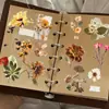 50 Piezas de Pegatinas Transparentes de Plantas Secas, Especímenes Florales Realistas y Pegatinas Decorativas de Mascotas Impermeables para Diarios
