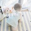 Roupas para animais de estimação Roupas para cães Roupas para gatos e filhotes Primavera e verão Vestido fino 25 Vestido de anjo coreano