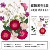 Paquete de Materiales DIY con Flores Secas en Relieve Marcapáginas Espécimen de Planta Hoja Real Pegamento en Relieve Funda para Teléfono Móvil Personalización Transfronteriza