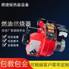 Gama completa de especificaciones Quemador de combustible Baite serie BT14 Caldera industrial original Quemador diésel Baite