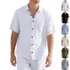 25 Años de Nuevo Sitio Web Independiente Transfronterizo Productos de Verano, Camisa Casual Tejida Simple de Negocios de Manga Corta para Hombre