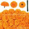 Pequena Flor Cravo Lilás em Estoque Transfronteiriça Dia das Bruxas Dia dos Mortos Calêndula Flor de Auditório 6cm 9cm Laranja Amarelo Vermelho