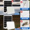 Holofote Solar Transfronteiriço Estilo Maçã Iluminação com Sensor para Pátio e Casa Luz de Rua LED à Prova d'Água Estilo Sudeste Asiático