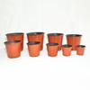 Macetas Bicolor para Plantación y Cuencos de Nutrición para Vivero, Aprobadas por el Fabricante para Bases de Flores y Viveros, Macetas de Vivero Bicolor Desechables Engrosadas