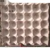 Comércio ExteriorBandeja de Ovos de Polpa Bandeja de Ovos de Polpa Bandeja de Ovos de Polpa Dura 10 unidades 15 unidades 30 unidades Bandeja de Ovos de Papel