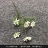 Flor artificial blanca Mori flor de seda blanca lechosa flor de techo suave para salón de bodas peonía rosa nieve