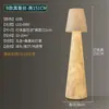 Sofá de sala de estar de mediados de siglo moderno con lámpara de pie de diseño creativo, estudio estilo Zen, dormitorio, sala de té y lámpara decorativa de mesa