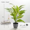 Flores Artificiais e Plantas Verdes, Bonsai Grande, Ornamentos Criativos, Artigos da Moda, Vendas Diretas da Fábrica Jinhua, Entrega de Flores, Plantas Artificiais em Vaso