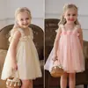 Vestido de Tul Estilo Dulce Niña con Flores Tridimensionales 2026 Estilo Verano Vestido de Playa con Tirantes Vestido de Princesa para Bebé Vestido Abullonado