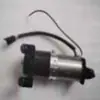 Ctsi Tp63