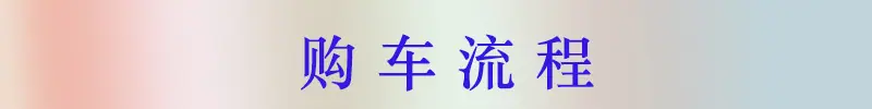 购车流程