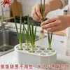 Regenerador transfronterizo de cebolleta y cebollino, maceta hidropónica de cocina, decoración de jardinería para balcón en casa, venta al por mayor