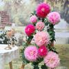 Conjunto Arco-Íris de Carnaval Três Cores Multicamadas com Folha Verde Flor Rosa Pink Conjunto 9 Peças Multimodelos com Deslumbrante