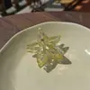 Nuevo Pasador de Plástico con Forma de Estrella de Cristal de Hielo, Pasador Transparente de Colores Hueco, Pinza para el Pelo Dulce y Colorida para Niñas, Pinza de Tiburón