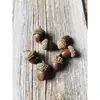 Paquete de Materiales Bosque Hecho a Mano Creativo DIY Nuevo Paquete Decorativo de Piñas Flores Secas Conjunto Combinado Foto Tao Metabo
