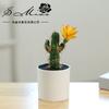 Maceta de Plástico con Flor Falsa, Suculenta Artificial Cactus Tropical Bonsái, Pequeños Adornos Creativos, Suministro Directo de Fábrica de Plantas Verdes