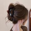 Pinza de Garra de Acrílico Minimalista Estilo Coreano Pinza Tiburón para Principios de Otoño Pasador para Mujeres Nuevo Modelo 2026 Accesorio para el Cabello de Gama Alta