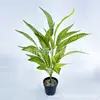 Hoja de Cebra de 26 Hojas, Hoja de Tigre, Clorofito, Pared de Plantas Verdes de Fondo de Centro Comercial, Flor Artificial, Hoja de Helecho de Goma de Nuevo Bonsái