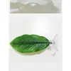Hojas de Paisajismo para Acuario para Descansar y Dormir, Plantas Acuáticas Artificiales para Betta, Lecho de Puesta, Hoja de Loto, Escondite de Descanso para Betta