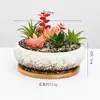 Vasos de Cerâmica para Suculentas com Esmalte Colorido de Forno 10 polegadas Criativos para Interior Mesa Bonsai Ornamentos Vasos de Cerâmica Transfronteiriços para Jardinagem