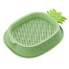 Nueva caja de plantación de césped para gatos, cultivo sin tierra, traje de césped para gatos, bocadillos para gatos, césped hidropónico, suministros para mascotas
