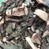 Venta al por mayor y Dropshipping de Productos Herbales como Rizoma de Polygonum Multiflorum, Rizoma de Polygonum Multiflorum y Rizoma de Polygonum Multiflorum