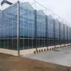 Engenharia de estufas de vidro, estufas pré-fabricadas prontas para envio, fabricação e construção de estrutura de aço modular - Estufas Luyuan